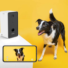 Load image into Gallery viewer, Good Dog™ Pup-Cam &amp; Treat Dispenser - 40% Off