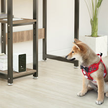 Load image into Gallery viewer, Good Dog™ Pup-Cam &amp; Treat Dispenser - 40% Off